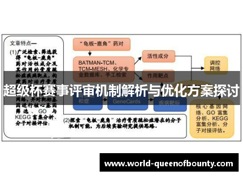 超级杯赛事评审机制解析与优化方案探讨
