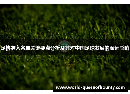 足协准入名单关键要点分析及其对中国足球发展的深远影响
