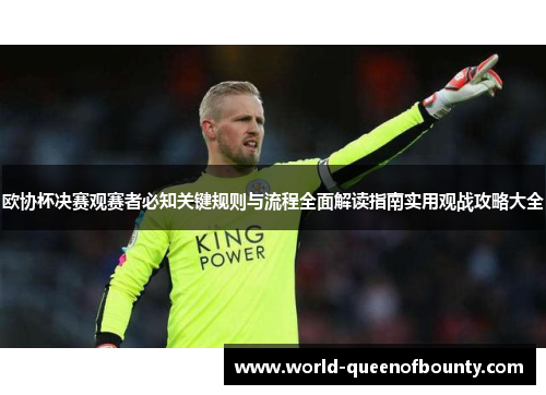 欧协杯决赛观赛者必知关键规则与流程全面解读指南实用观战攻略大全 欧协杯决赛观赛者必知关键规则与流程全面解读指南实用观战攻略大全