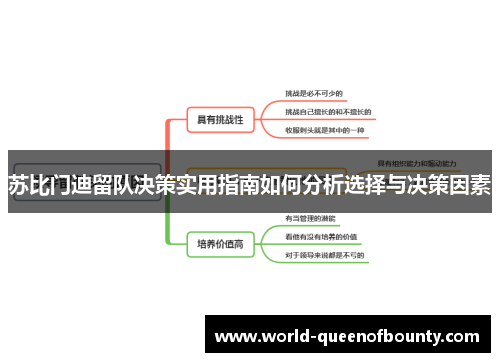 苏比门迪留队决策实用指南如何分析选择与决策因素