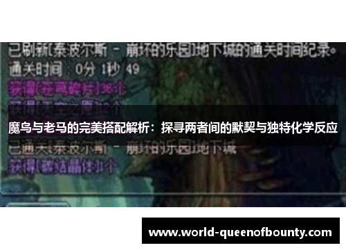 魔鸟与老马的完美搭配解析：探寻两者间的默契与独特化学反应