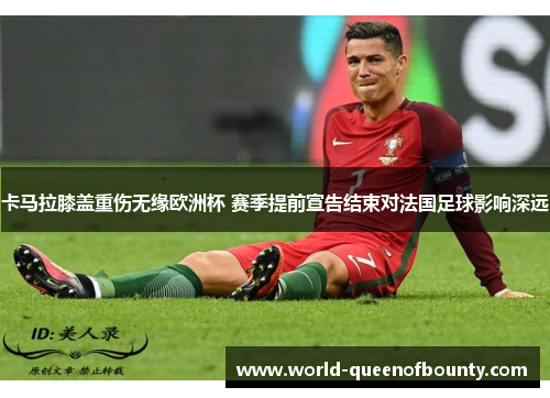 卡马拉膝盖重伤无缘欧洲杯 赛季提前宣告结束对法国足球影响深远 卡马拉膝盖重伤无缘欧洲杯 赛季提前宣告结束对法国足球影响深远