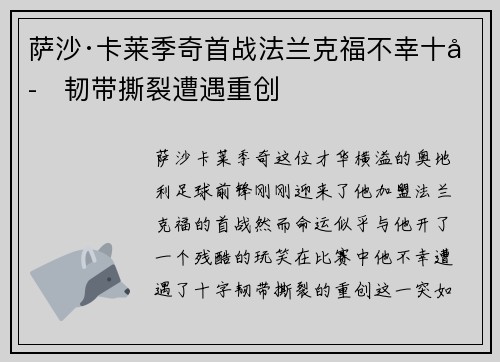 萨沙·卡莱季奇首战法兰克福不幸十字韧带撕裂遭遇重创